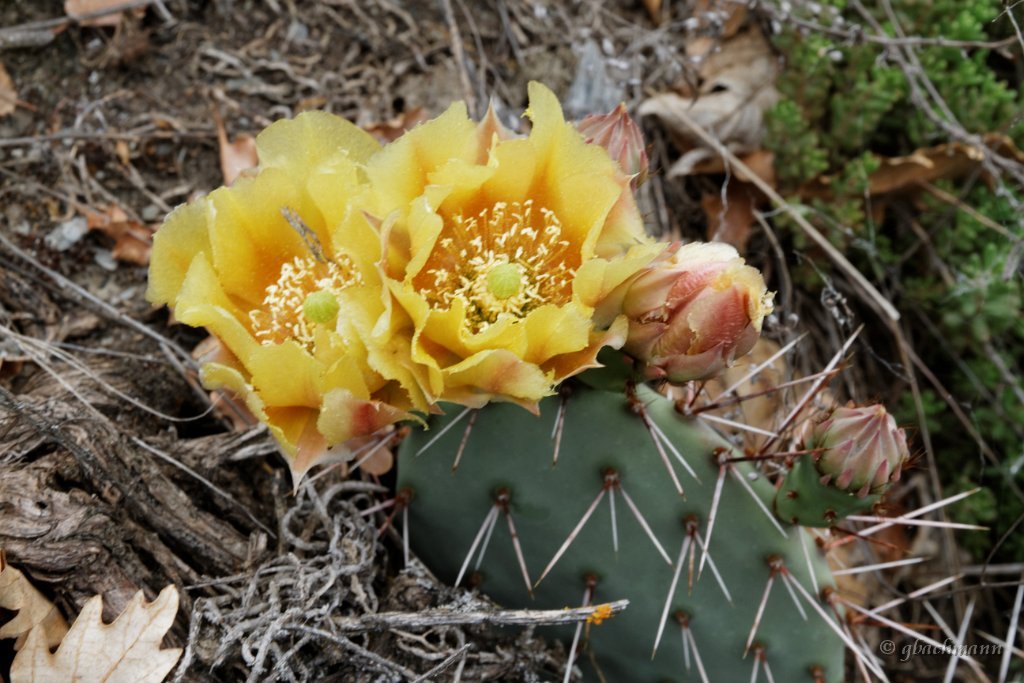 20140526_032
